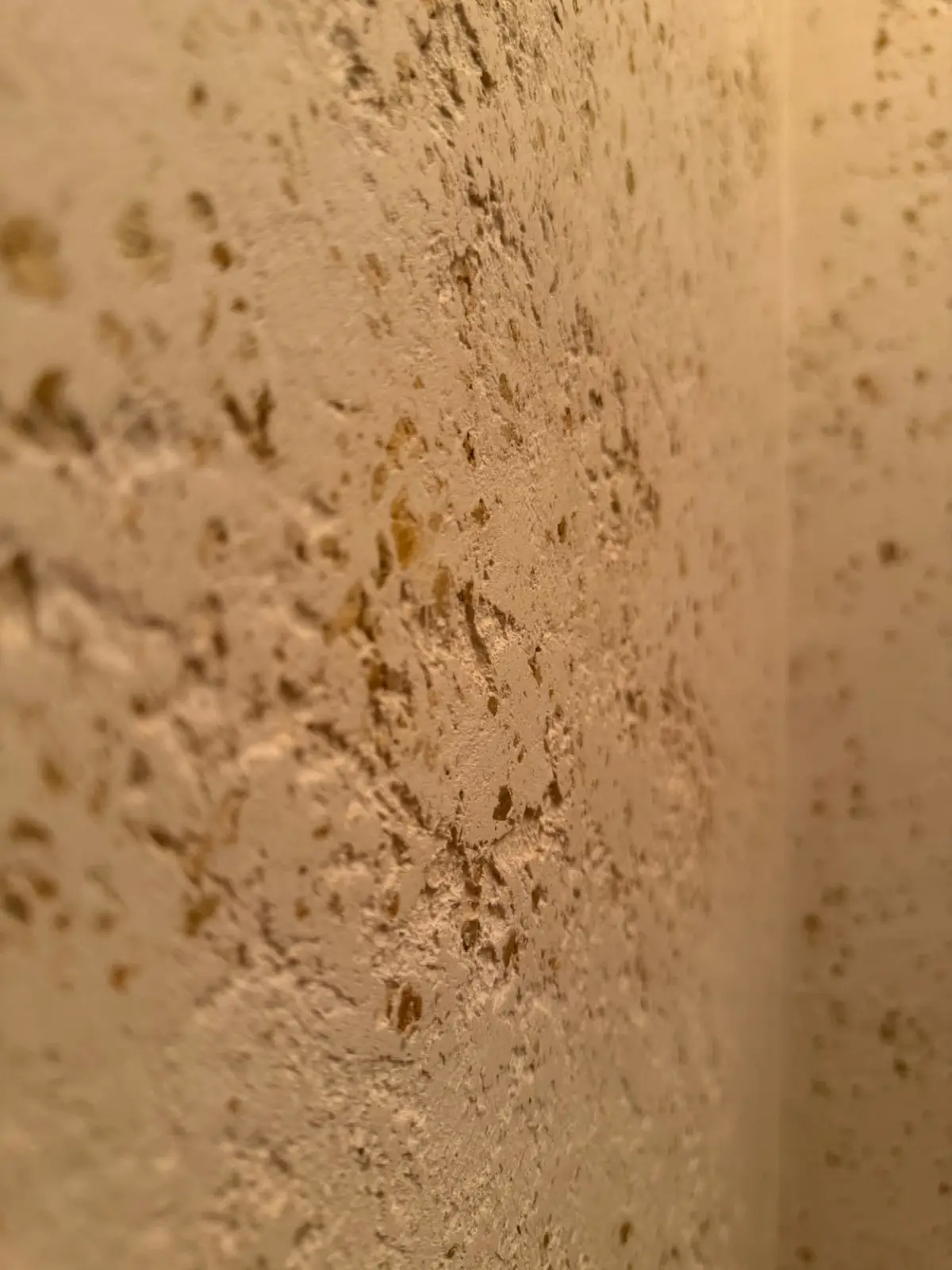 Toilet · macro — Ommen – Travertin Textuur Macro in Ommen